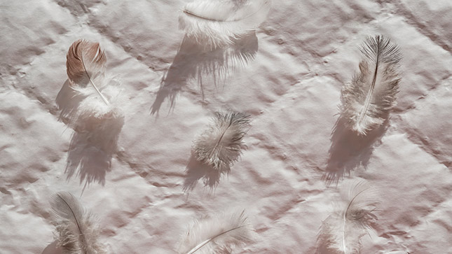 Veren en dons als vulling in matrastopper